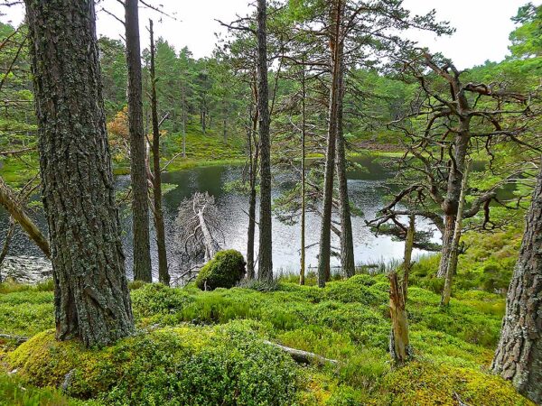 Scotland Hiking Adventures | Explore the Highlands and Beyond