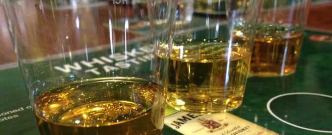 Top Pubs in Dublin | Experience Irish Pub Culture with Celtic Tours